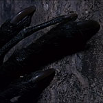 Fingertier, Madagaskar