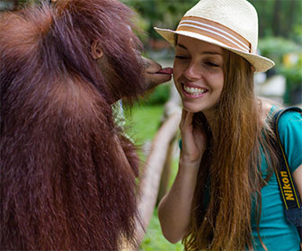 Orang Utan und Frau