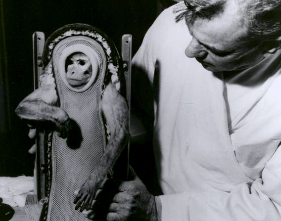 Monkey Sams Raumflug