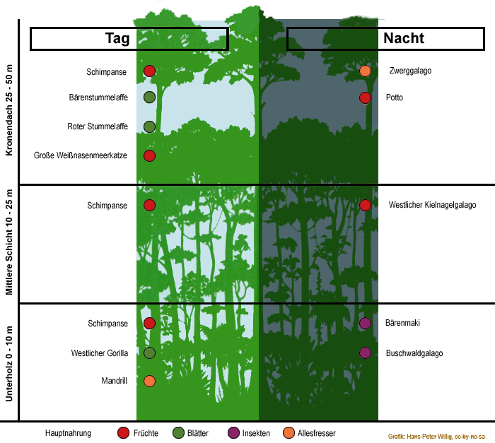 Ökologische Nischen für Primaten